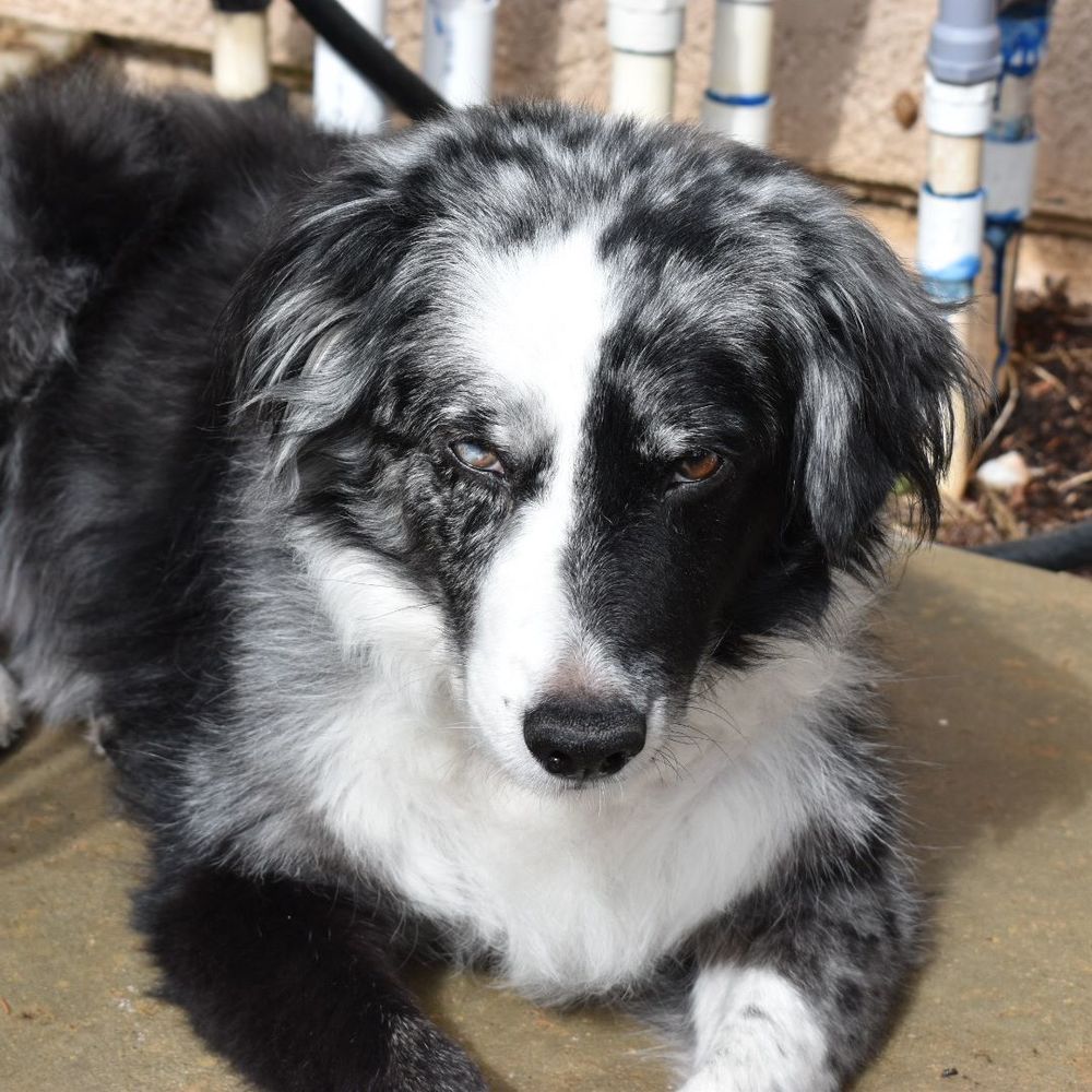 Meet your Posher, Nathan